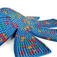 Аппликатор Ляпко Ромашка шаг игл 5,0