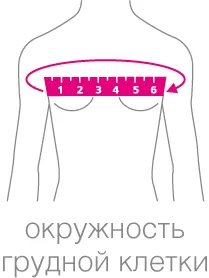 grudnaya-kletka_zh.png